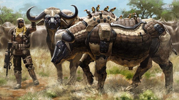 女生到底应不应该穿***的衣服？